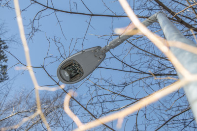 44969_1184__vyrp14_1092IMG_5345R