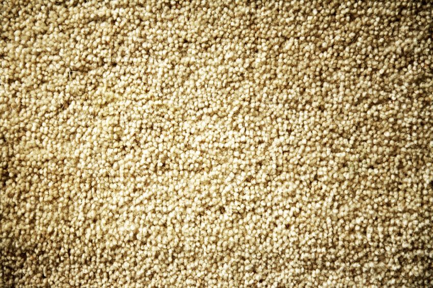 11085463 - closeup of brown color carpet