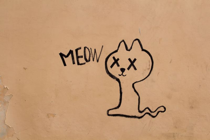 43468114 - light orange facade of a house with a simple black graffiti of a cat.