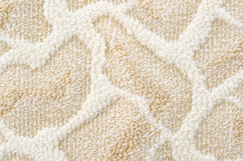 14115223 - a beige floor carpet with a relief pattern