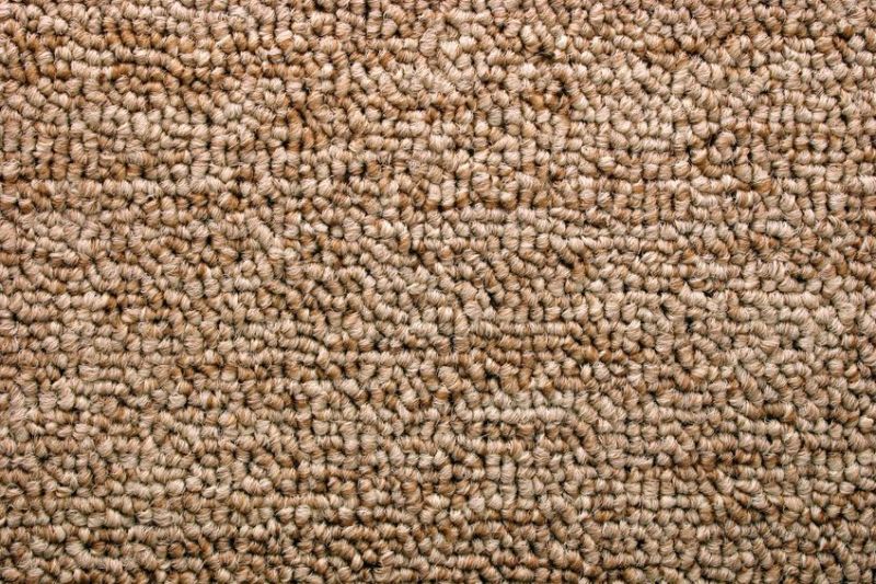 19003561 - photo of bright brown carpet (texture)