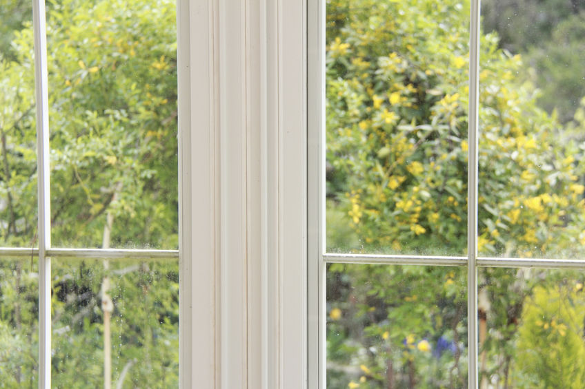 44470026 - garden visible from the window