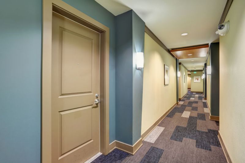 Dobrý typ na čištění koberců