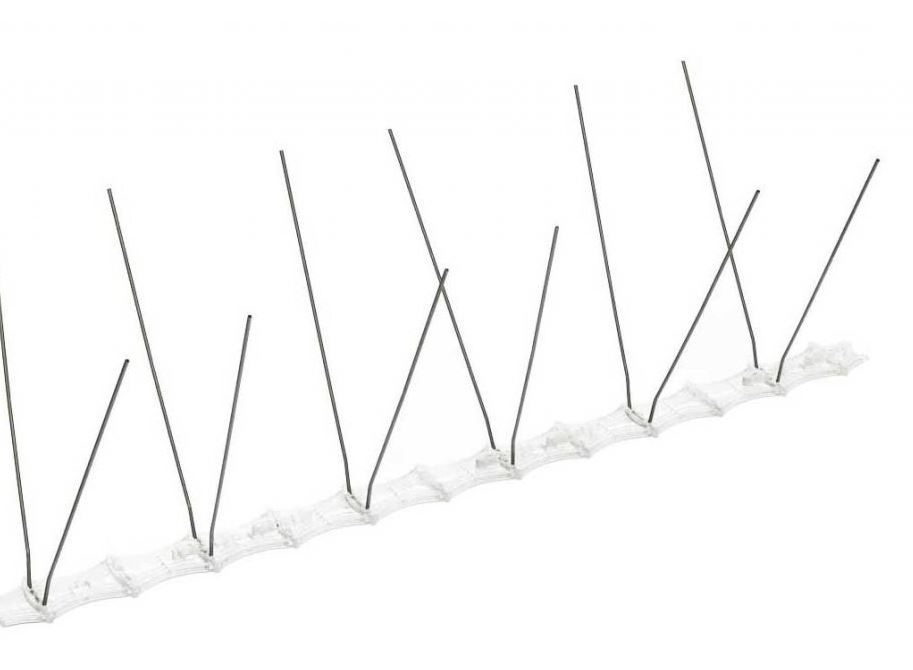 Lezou vám ptáci na nervy? Zatočte s nimi jednou pro vždy!