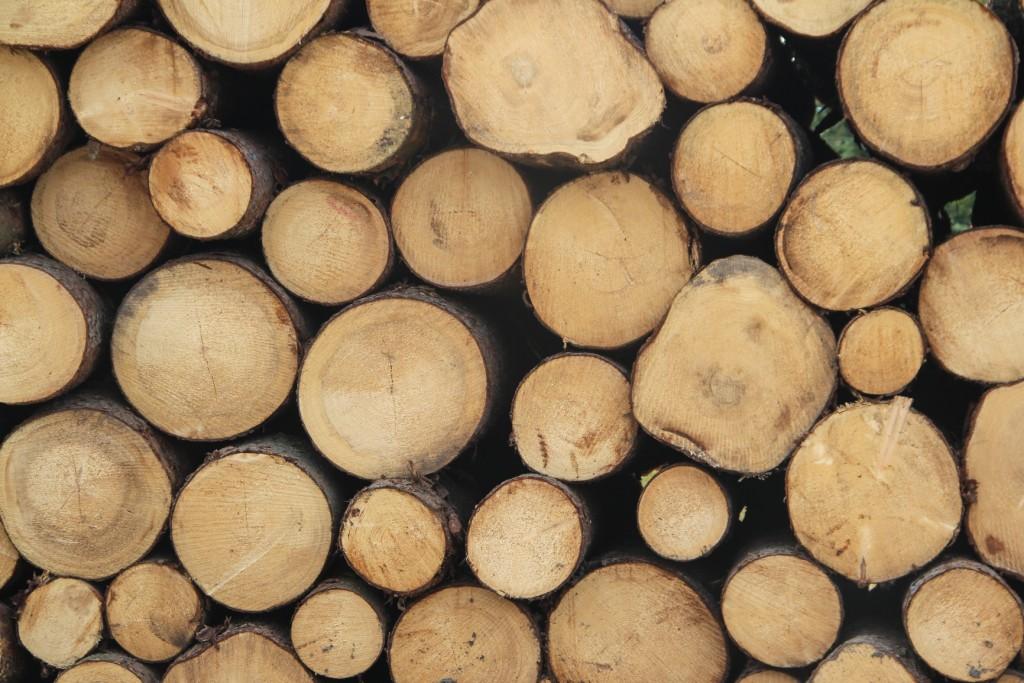 Trh s dřevní hmotou je plný turbulencí