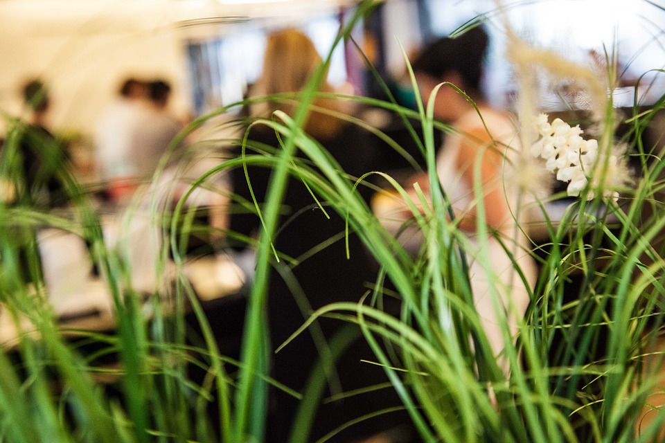 Co vám můžou agentury s hosteskami nabídnout?