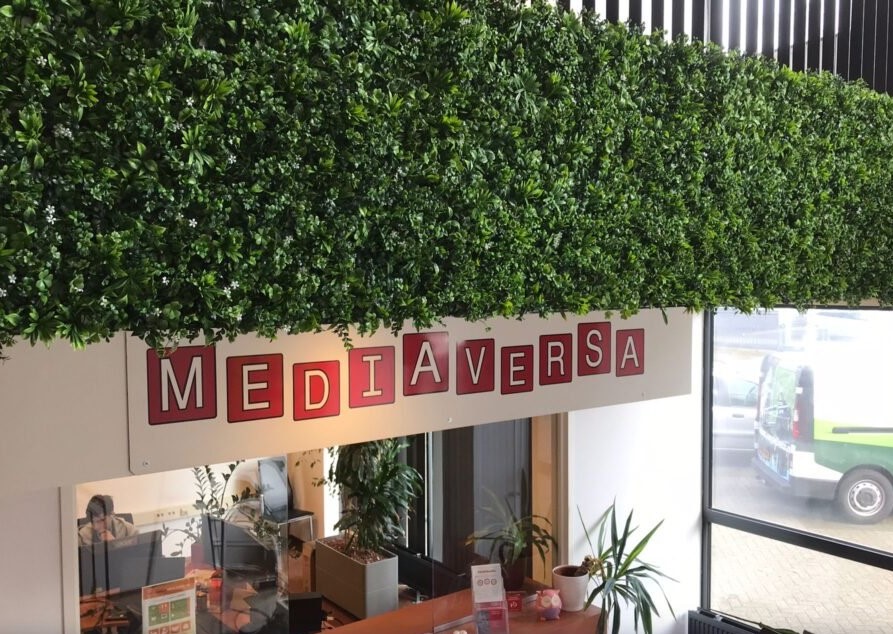 Zelené stěny jsou novou ozdobou firem i moderních domácností