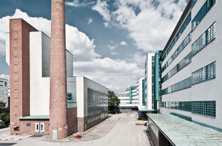 Průmyslové brownfieldy: Jak vdechnout nový život opuštěným továrnám?